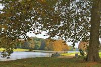 Cjp_2009_10_29_150005 (1)_HDR-D1.jpg